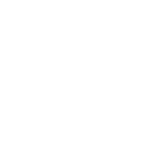 Lyon Croustille